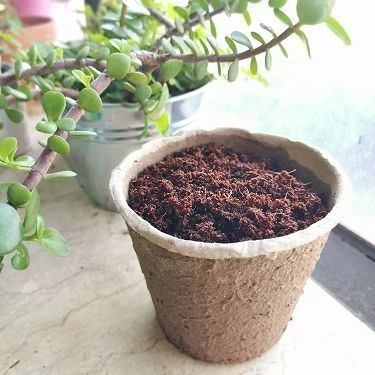 product-1-1 3(001)
