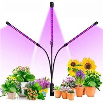 Kweeklampen voor kamerplanten
