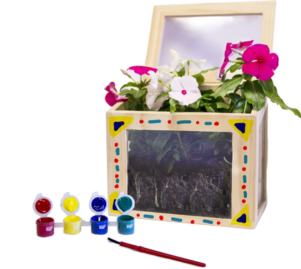 paint a green house, wooden greenhouse with pigment paint a green house, wooden greenhouse with pigment